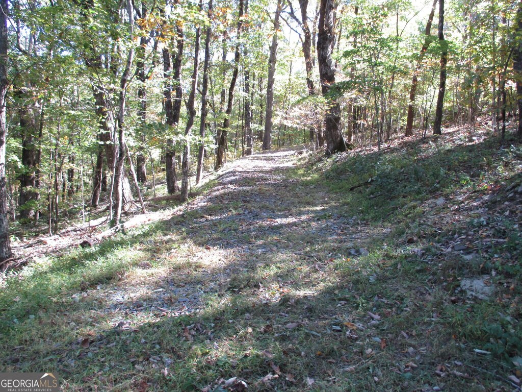 Picture 14