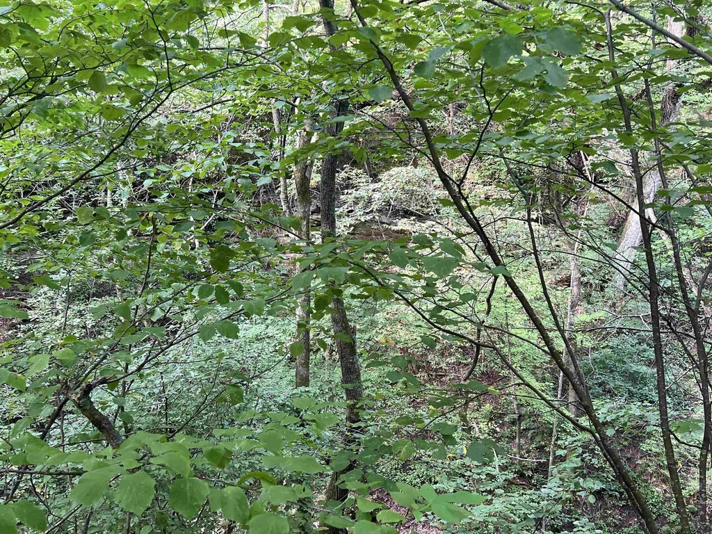 Picture 18