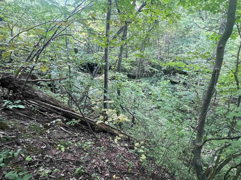 Picture 16
