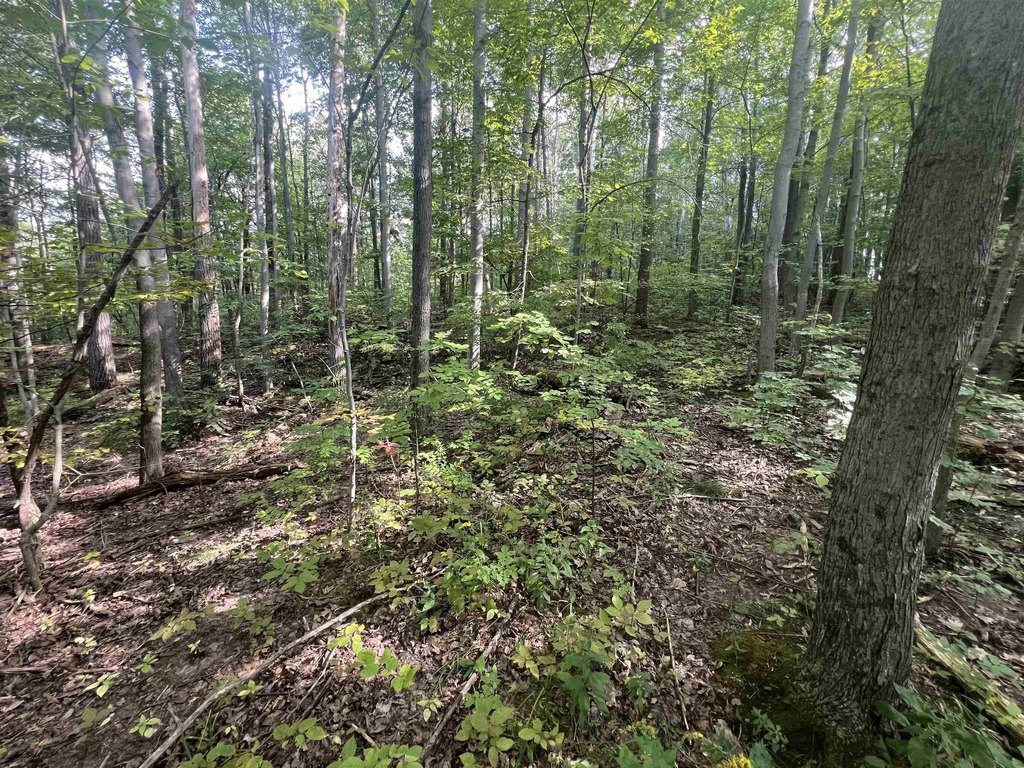 Picture 19