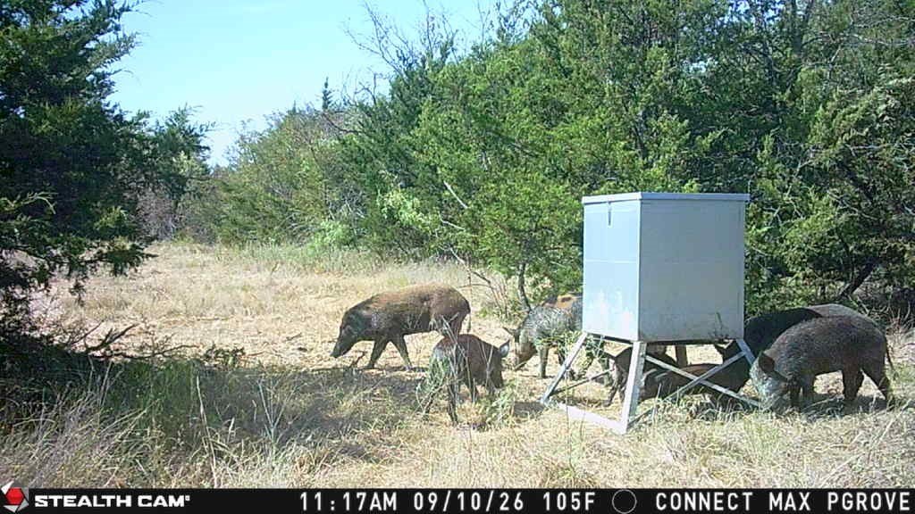 Picture 18