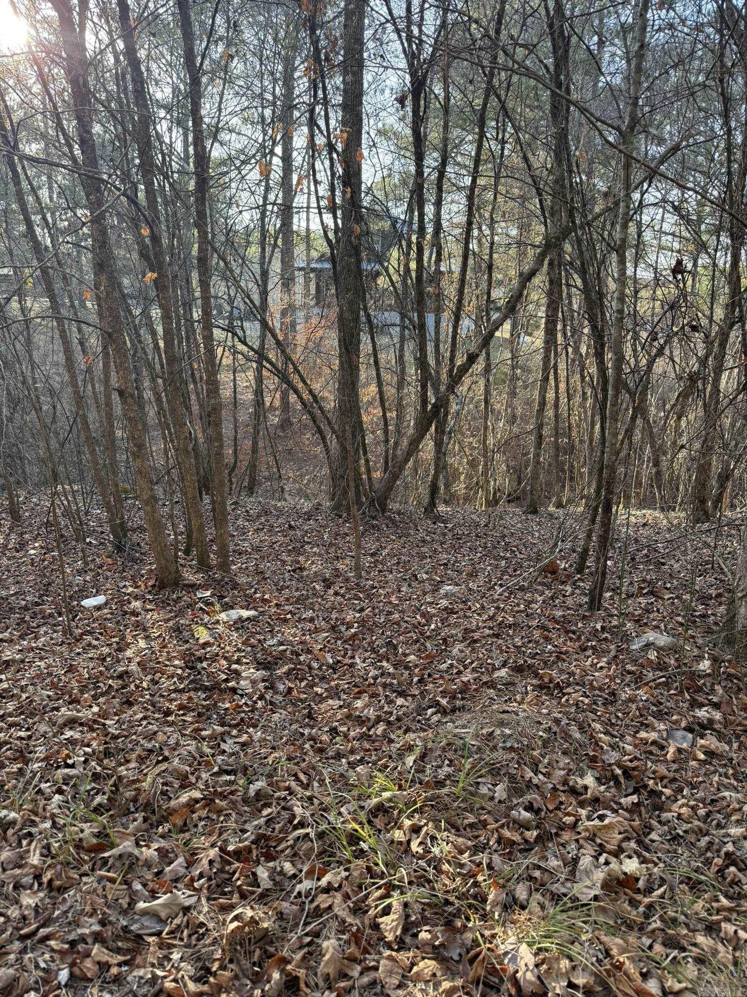 Residential Land Near Little Missouri River