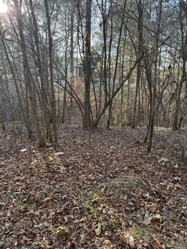 Residential Land Near Little Missouri River