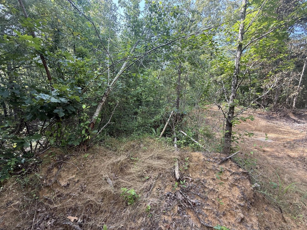Picture 16