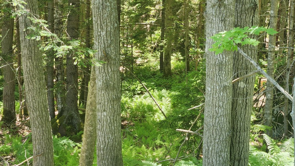 Picture 23