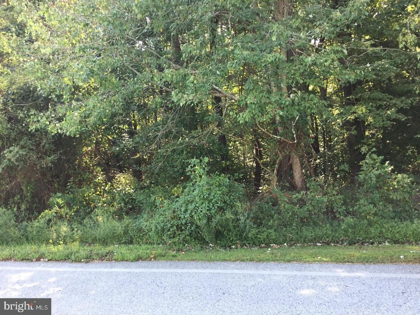 La Plata Land Opportunity