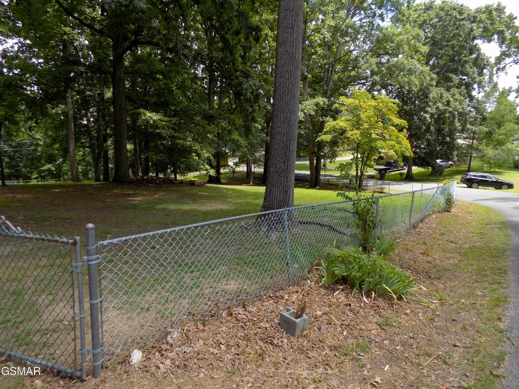 Picture 13