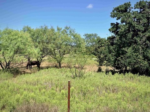 LAND - Valley Spring, TX