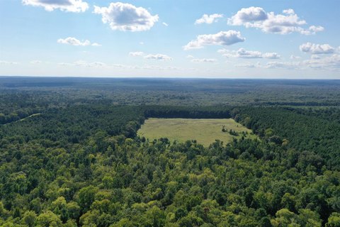 East Texas Recreational Acreage