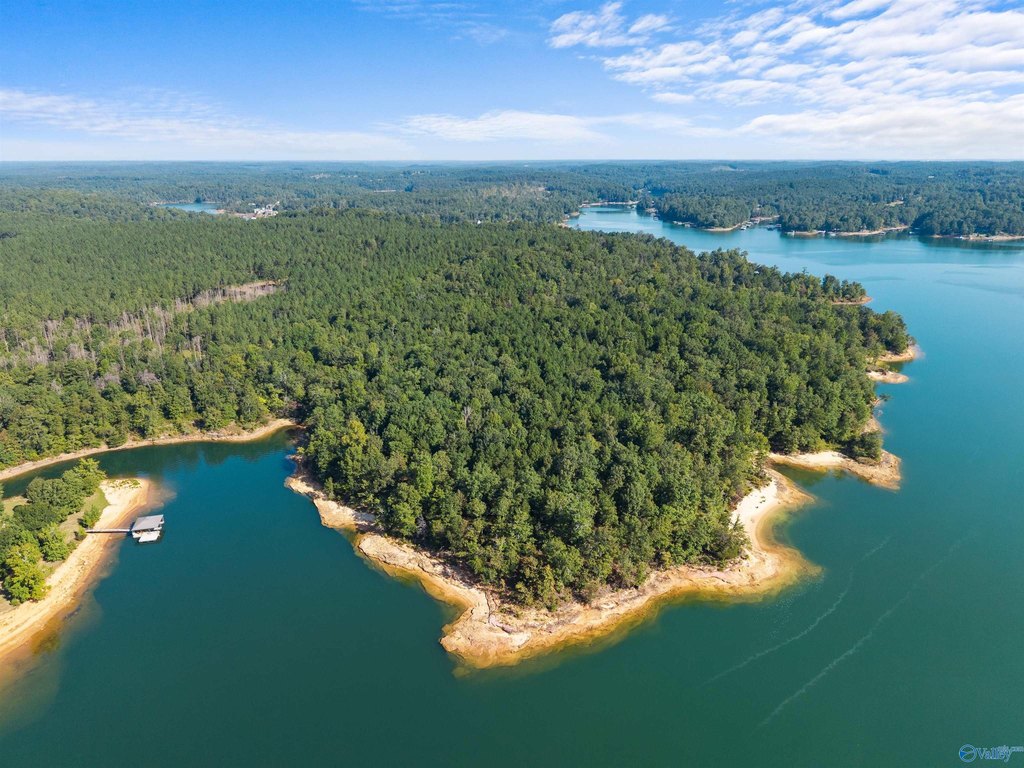 Picture 10