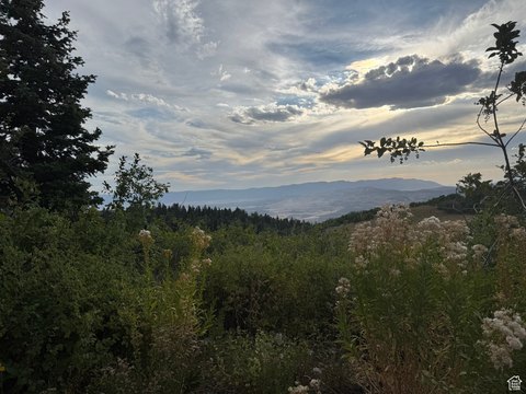 Fairview Acre View Lot