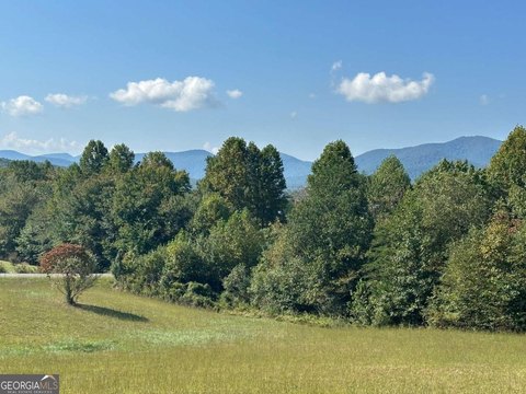 Young Harris Land with Views