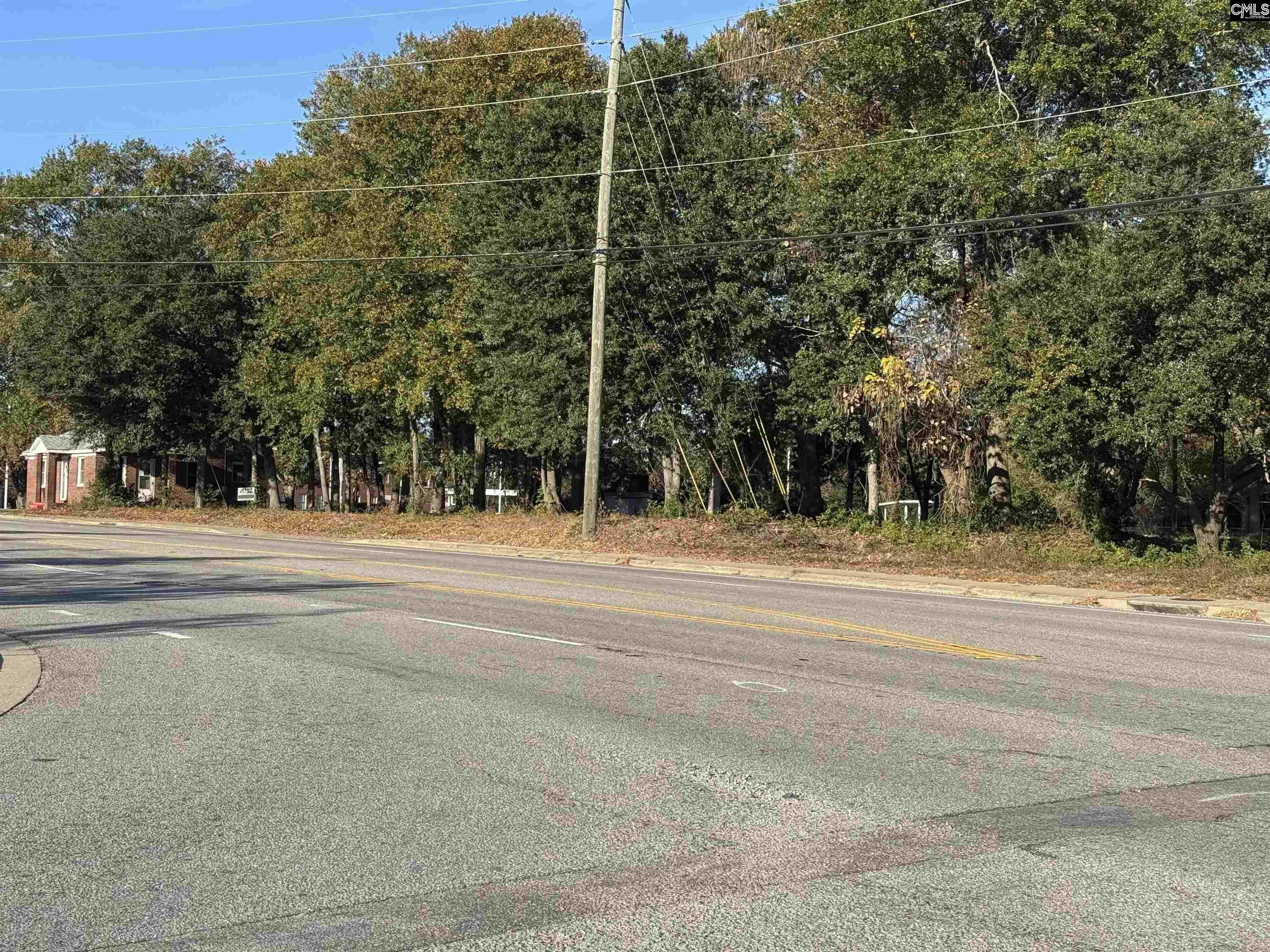 West Columbia Acreage with Road Frontage