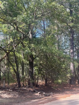 Land For Sale in Oil City