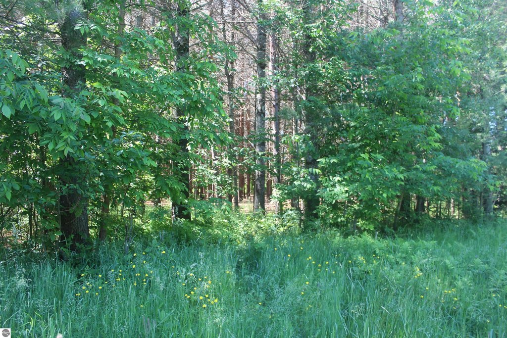 Picture 8