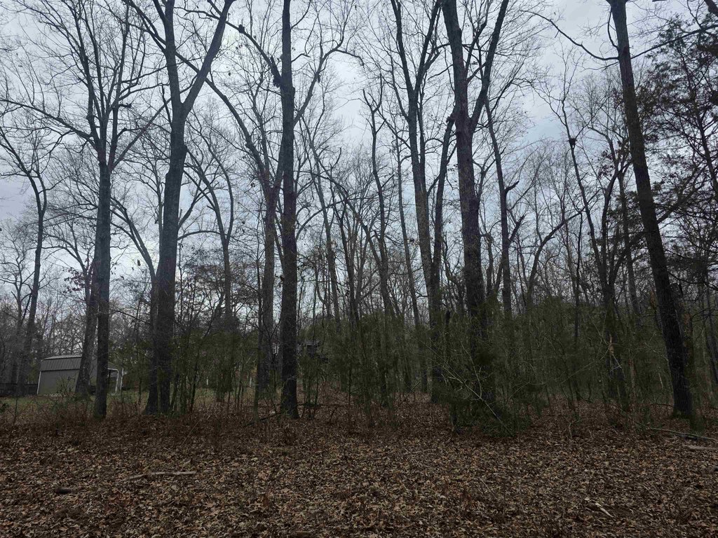 Picture 14