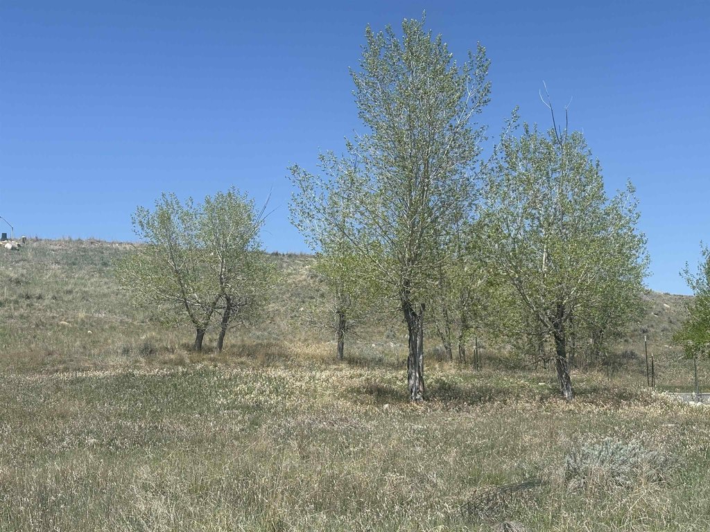 Picture 4
