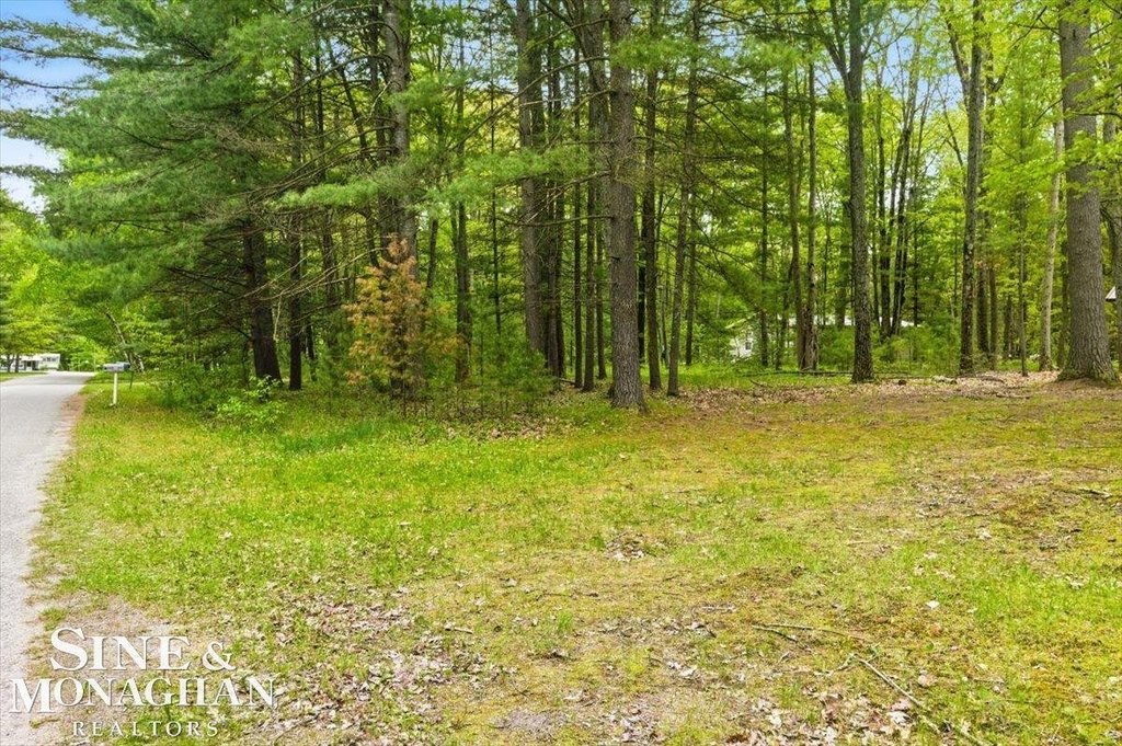 Picture 15