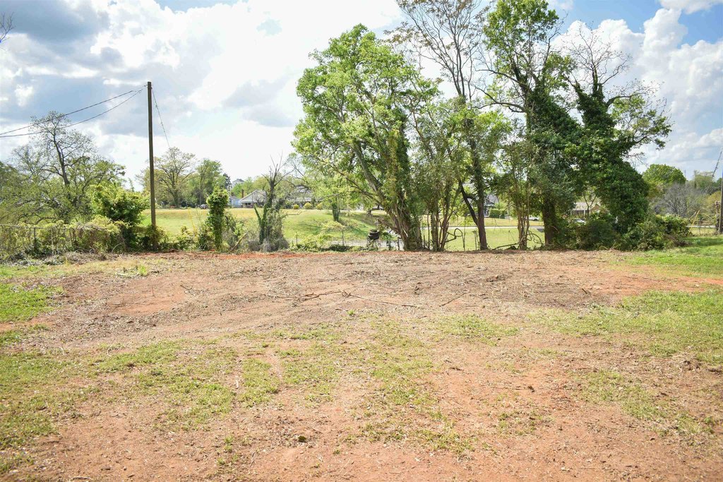 Picture 7