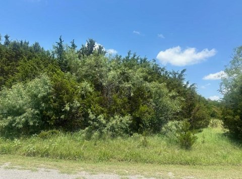 Resort Lot Near Lake Whitney