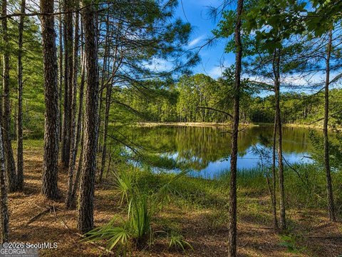 LAND - Waverly, GA