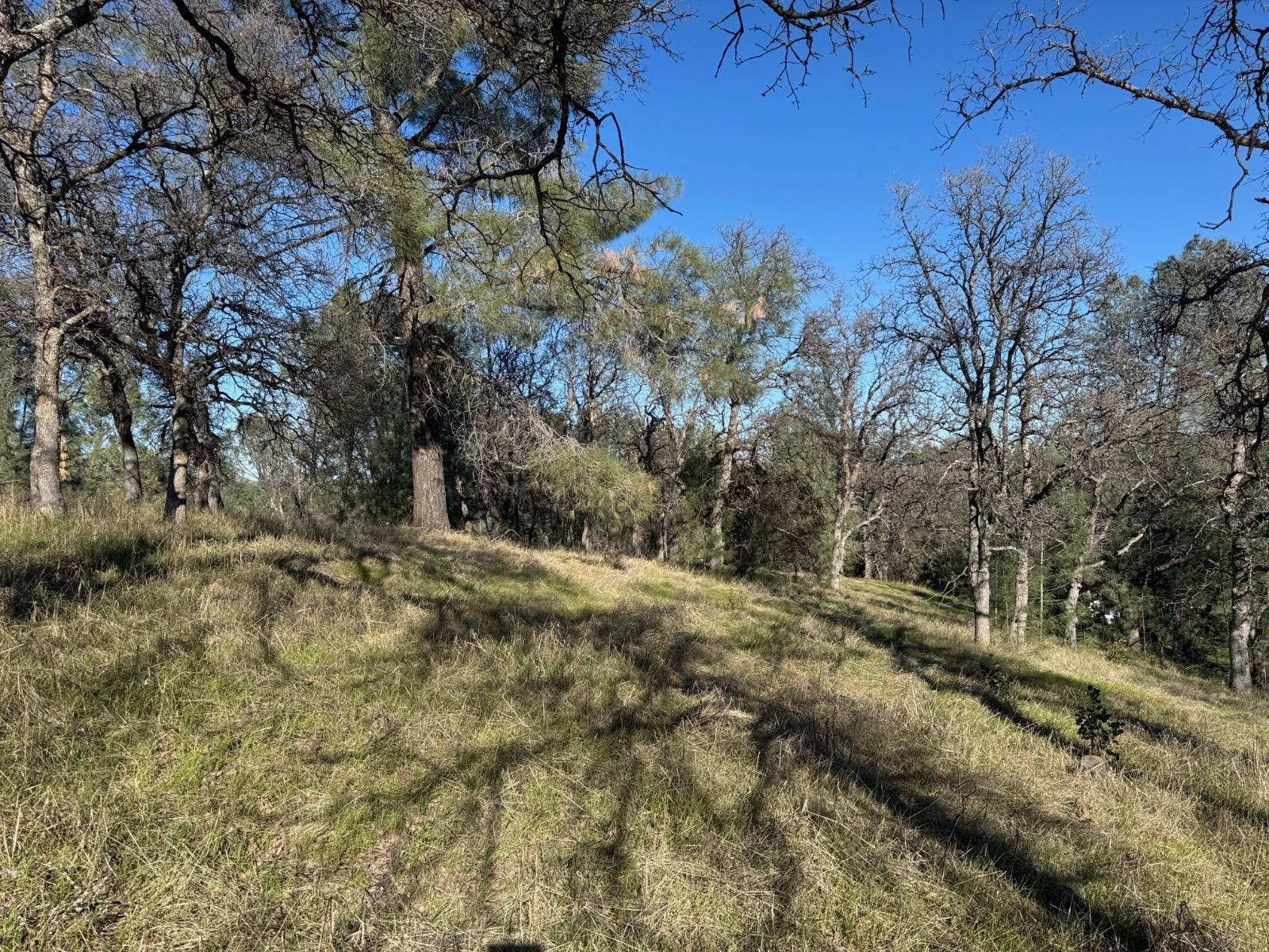 Land with Panoramic Views