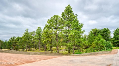 Land, Pine Haven, WY