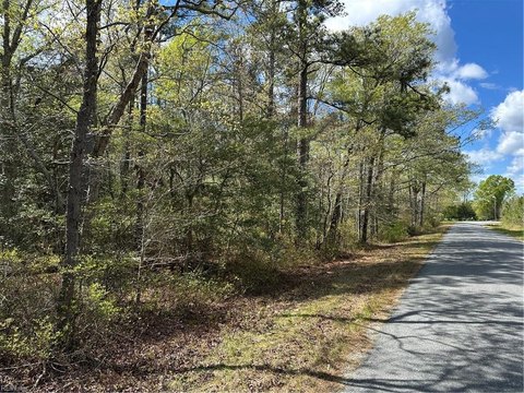 Wooded Waterfront Land