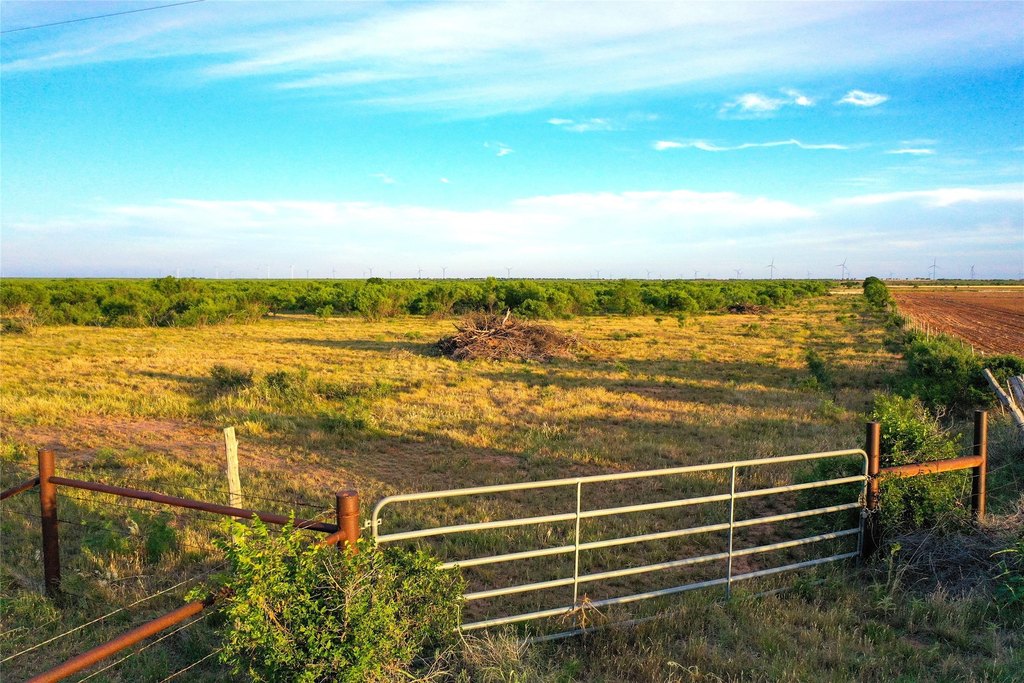 Picture 27