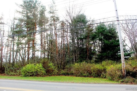 Commercial Lot in Springville, NY