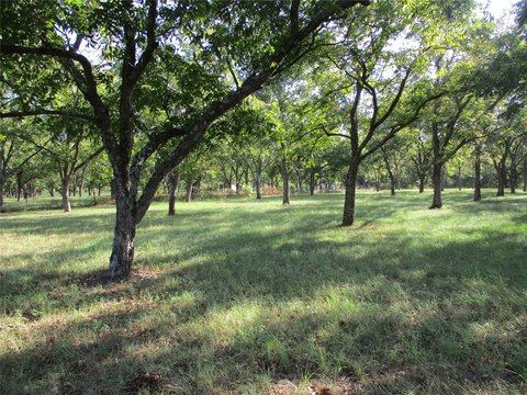 Land, Emory, TX