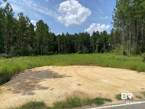 Wooded Acreage in Atmore, Alabama