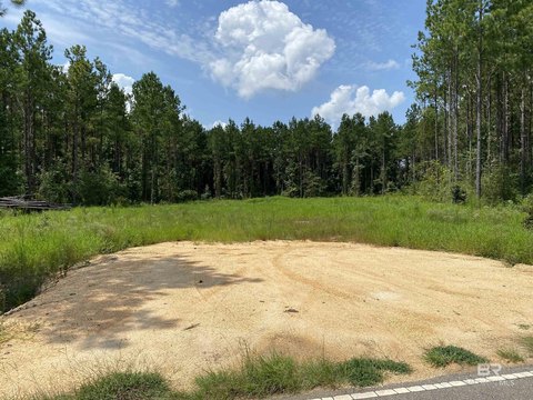 Wooded Acreage in Atmore, Alabama