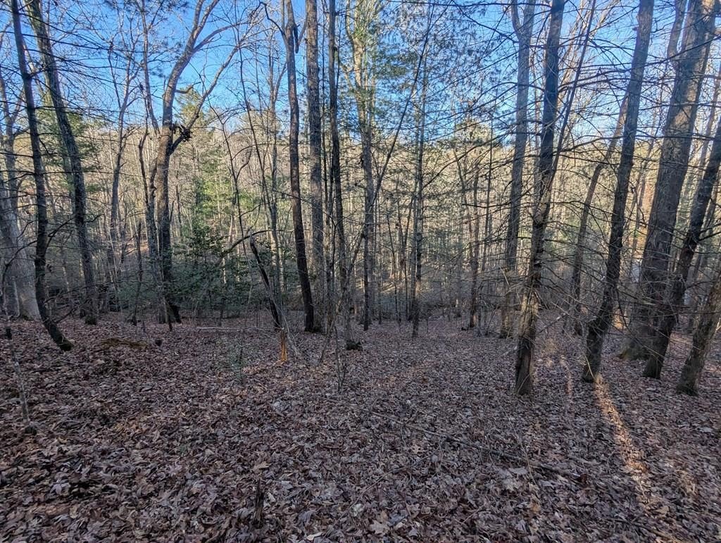 Blairsville Vacant Lot with Amenities