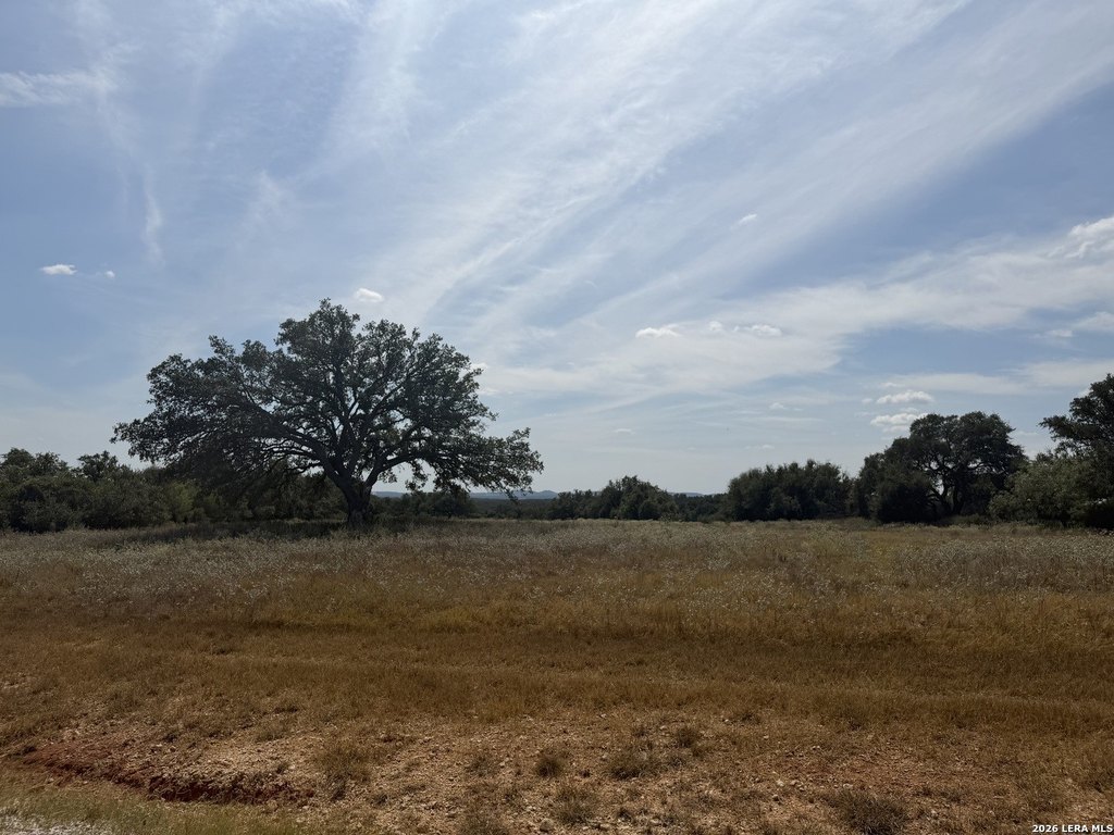 Picture 28