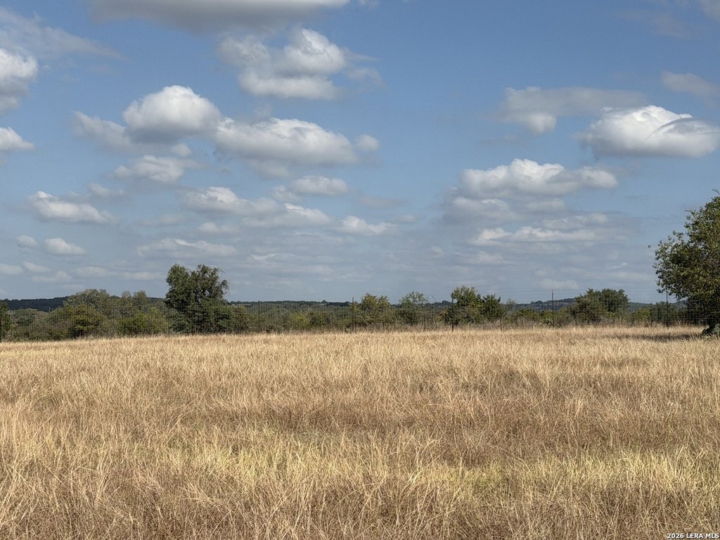 Picture 22