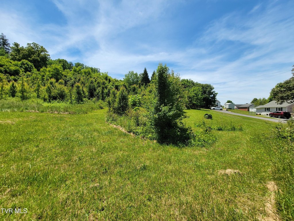 Picture 7