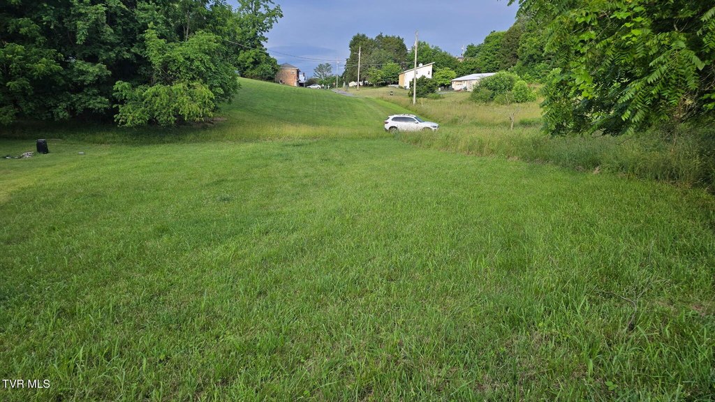 Picture 15