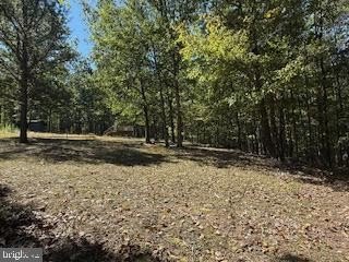 Wooded Hunting Land with Camp