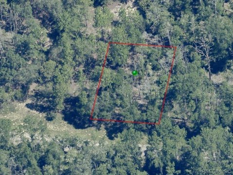 Land, Citrus Springs, FL
