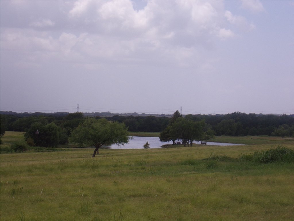 Picture 3