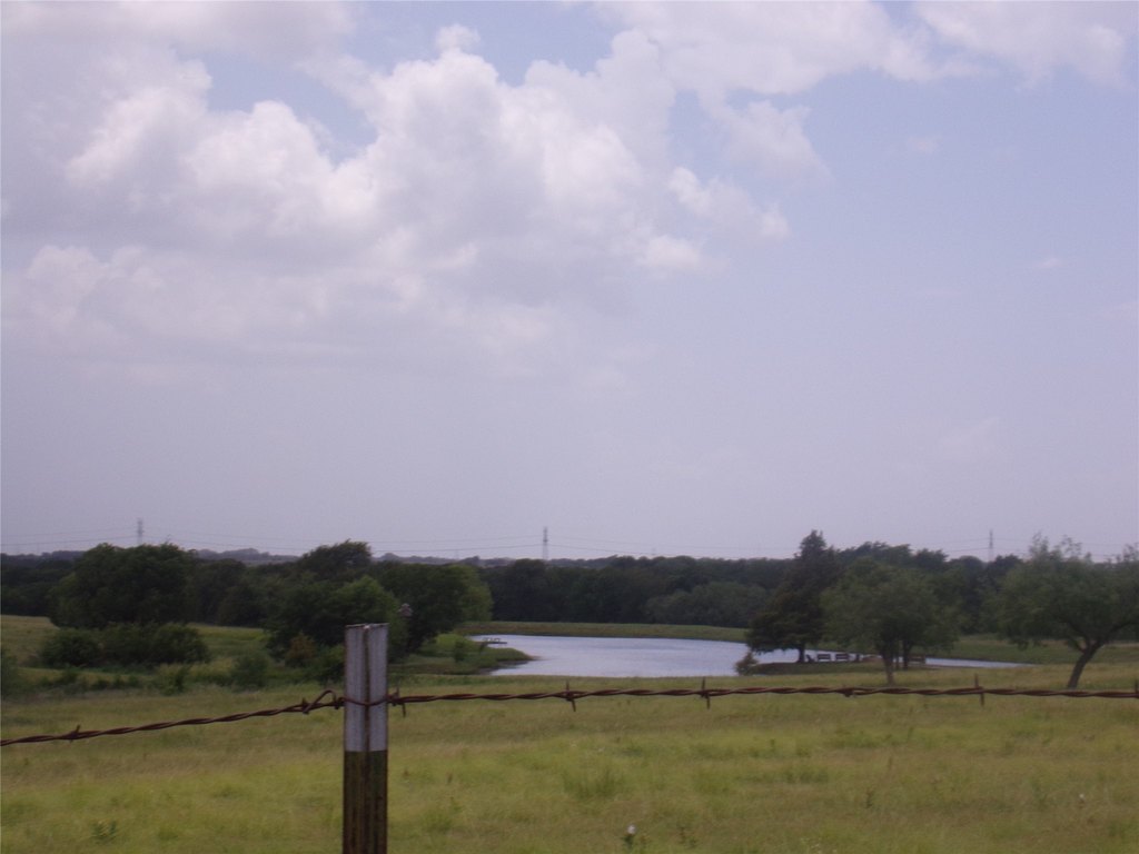 Picture 4