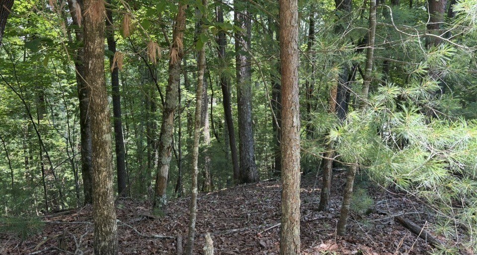 Picture 3