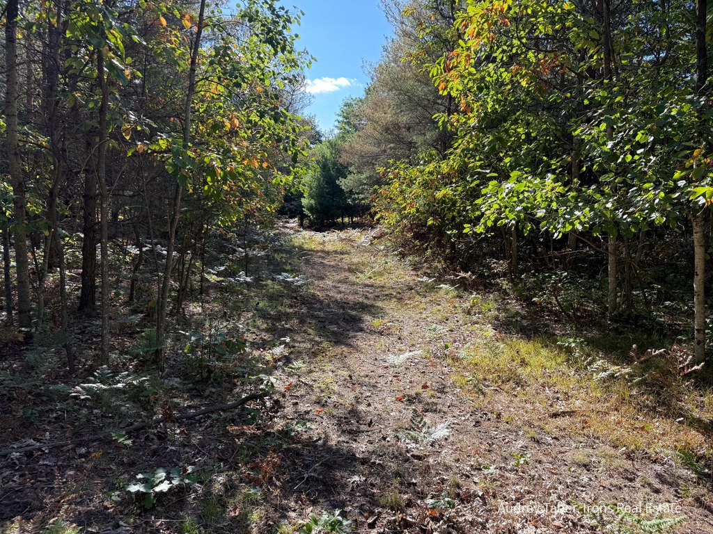 Picture 16