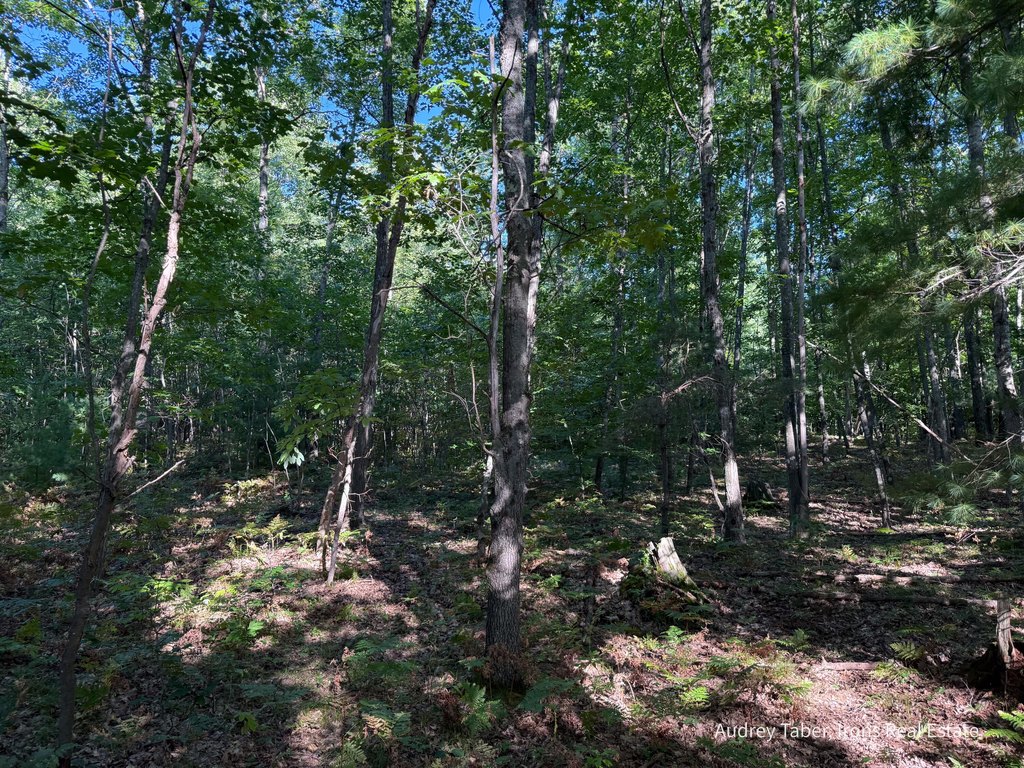 Picture 19