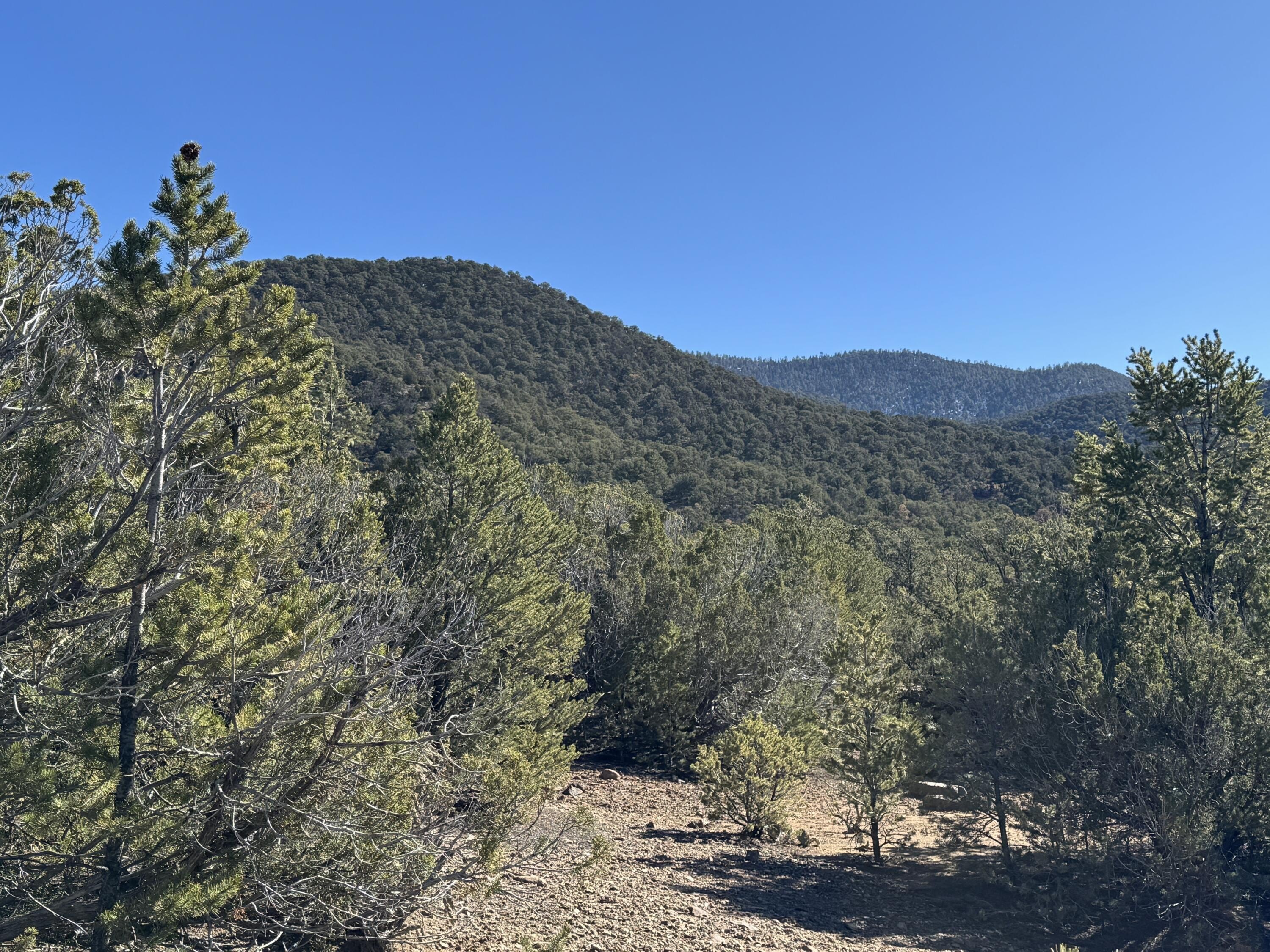 Taos Land with Mountain Views