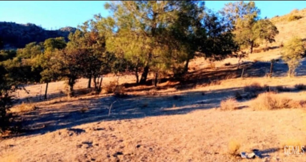 Picture 12
