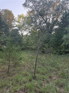 Land, Dover, AR