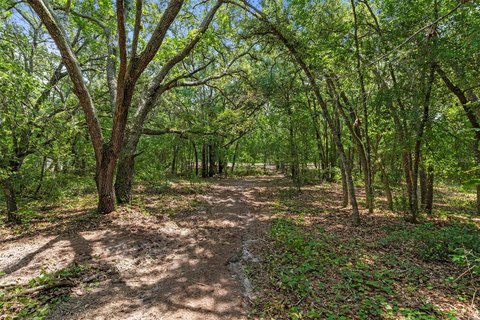 LAND - WEBSTER, FL