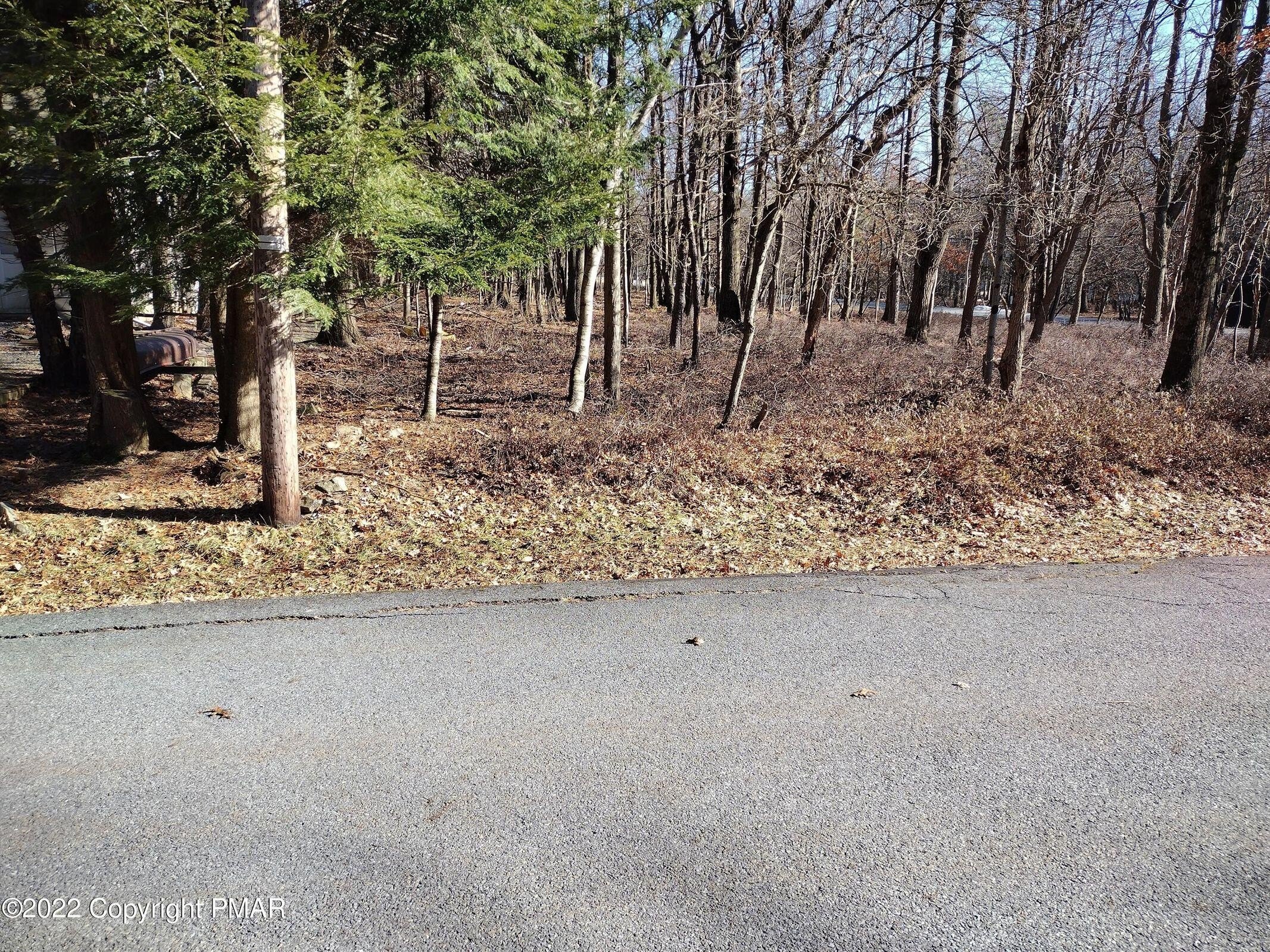 Land Near Pocono Lake